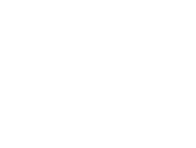 en-us-f1-2021-nav-logo
